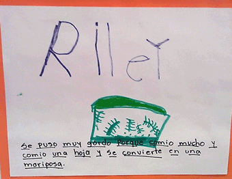 Bilingual work sample