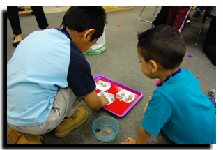 Counting cookies