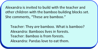 Oral Language speaking anecdote